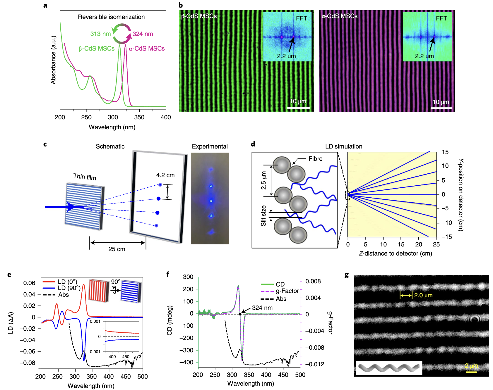 Hierarchical self-assembly4